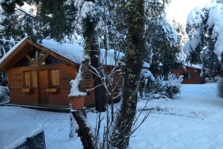 Cabañas del Bosque Bariloche - Bariloche