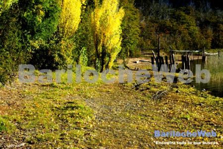 Excursiones Cerro Tronador - Foto de Bariloche Web