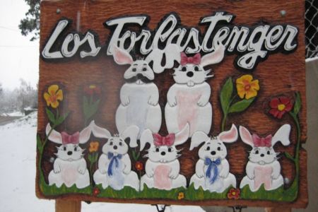 LOS TORLASTENGER - Bariloche